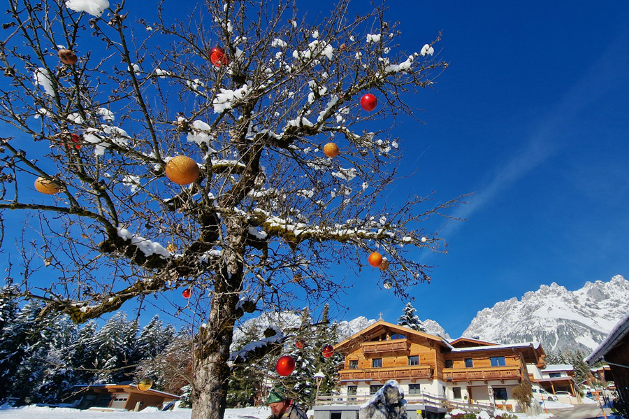 kaiser-alps-going-gallery-18